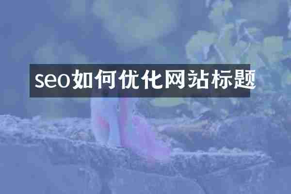 seo如何优化网站标题