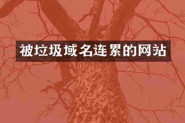 被垃圾域名连累的网站