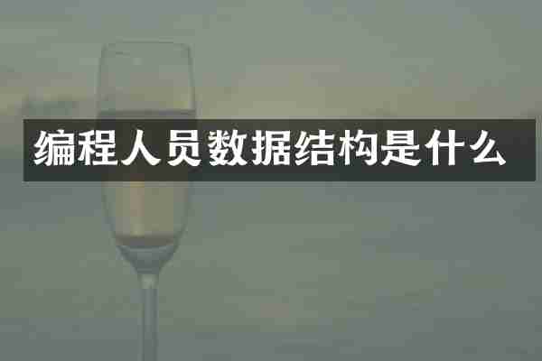 编程人员数据结构是什么