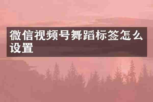 微信视频号舞蹈标签怎么设置