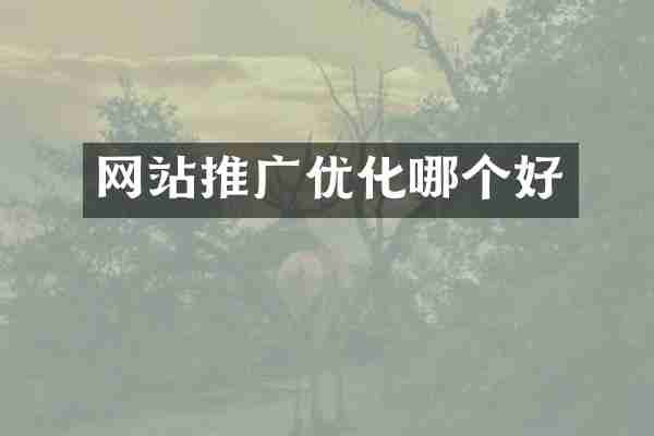 网站推广优化哪个好