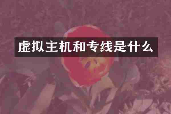 虚拟主机和专线是什么