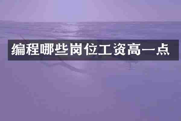 编程哪些岗位工资高一点