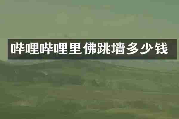 哔哩哔哩里佛跳墙多少钱