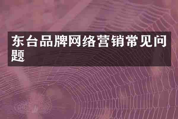 东台品牌网络营销常见问题
