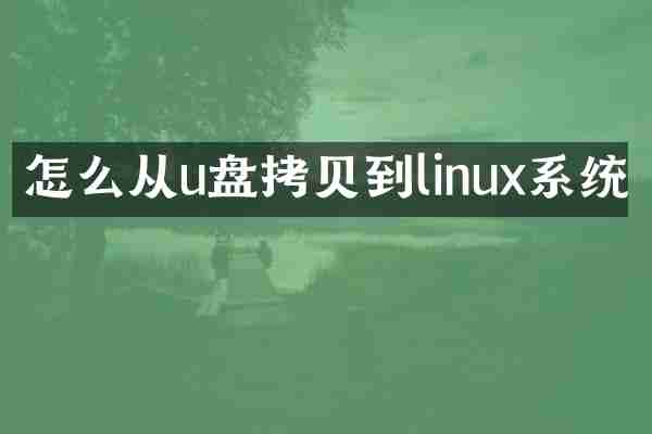 怎么从u盘拷贝到linux系统