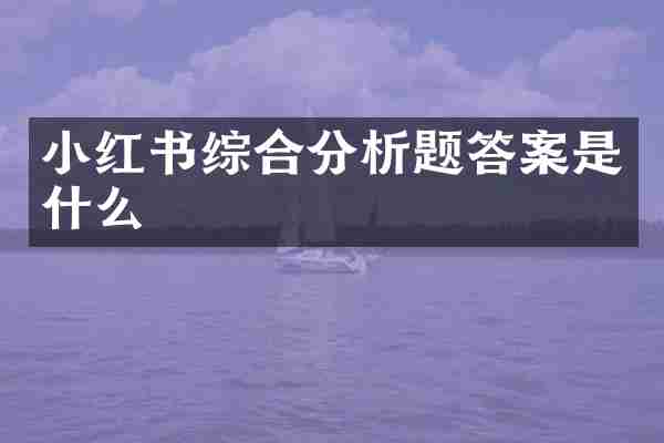 小红书综合分析题答案是什么