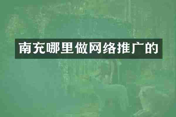 南充哪里做网络推广的