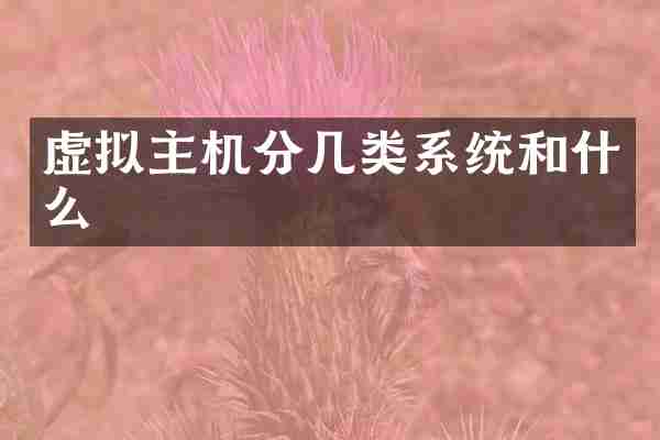 虚拟主机分几类系统和什么