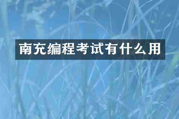 南充编程考试有什么用