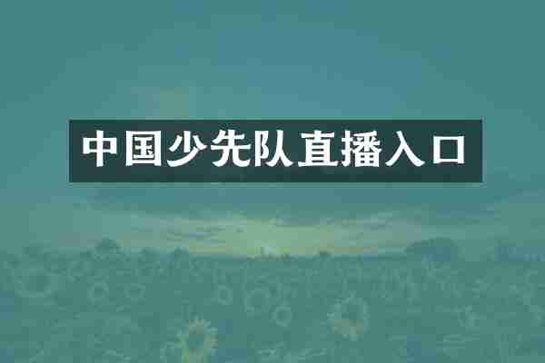 中国少先队直播入口