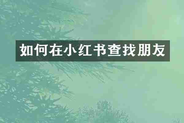 如何在小红书查找朋友