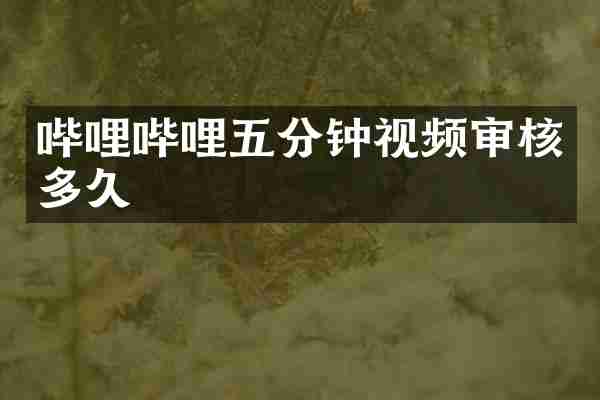 哔哩哔哩五分钟视频审核多久