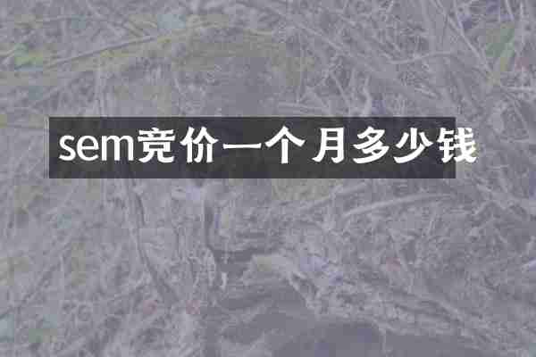 sem竞价一个月多少钱
