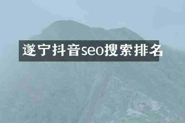 遂宁抖音seo搜索排名