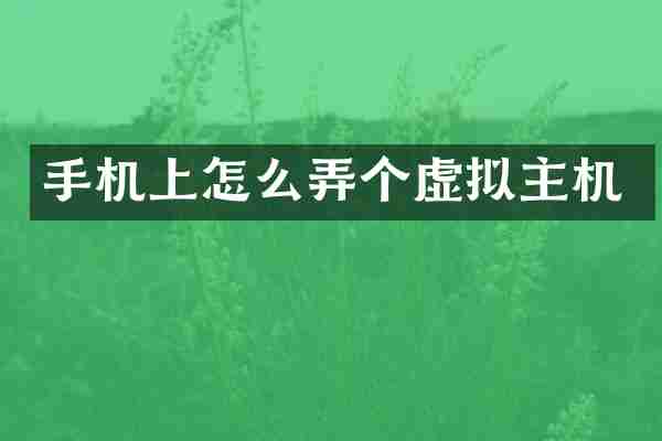 手机上怎么弄个虚拟主机