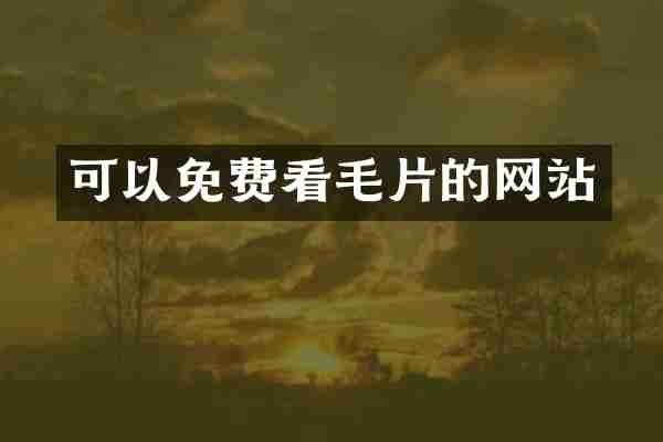 可以免费看毛片的网站