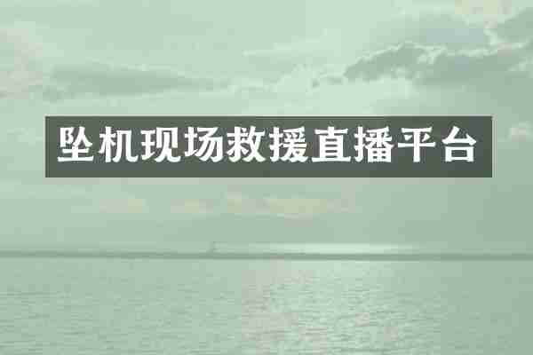 坠机现场救援直播平台