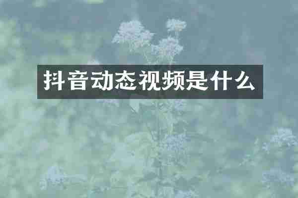 抖音动态视频是什么