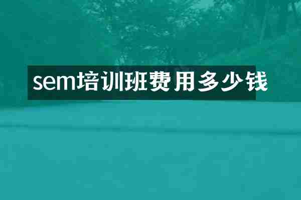 sem培训班费用多少钱