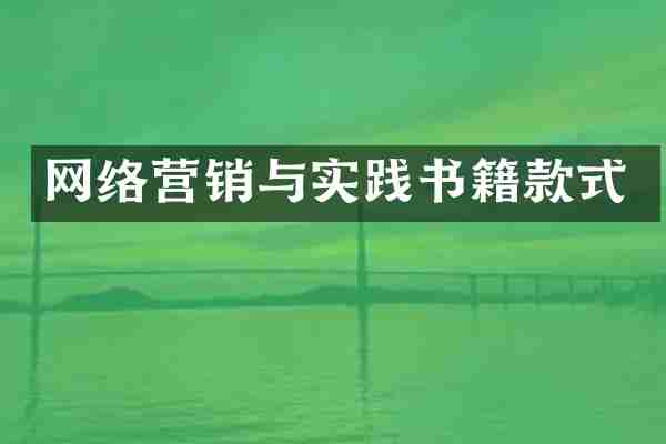 网络营销与实践书籍款式