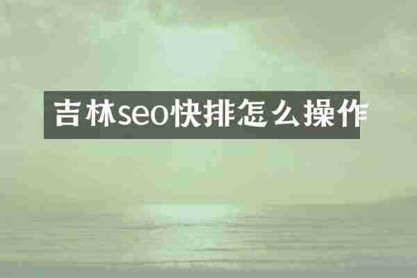 吉林seo快排怎么操作