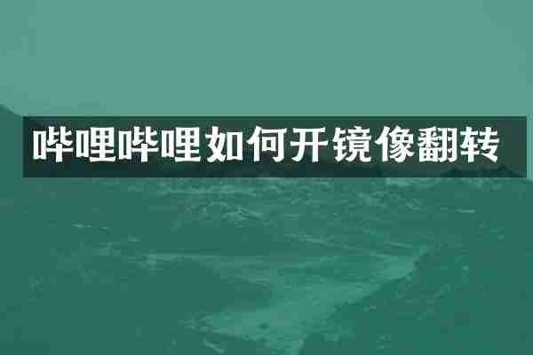 哔哩哔哩如何开镜像翻转