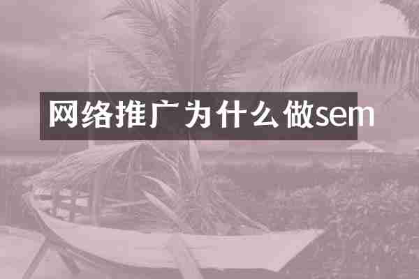 网络推广为什么做sem