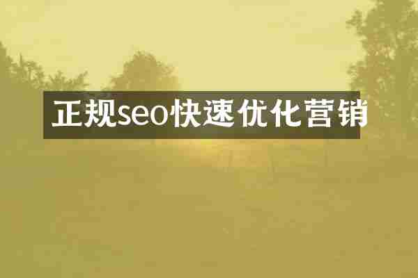 正规seo快速优化营销
