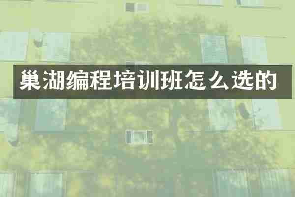 巢湖编程培训班怎么选的