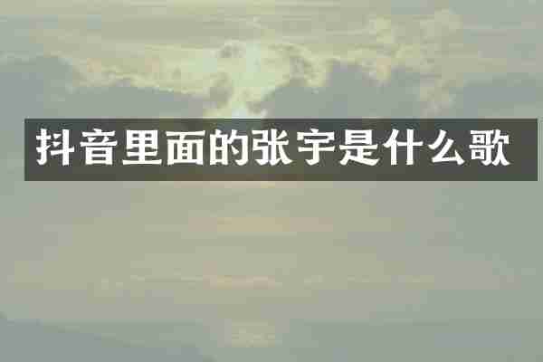 抖音里面的张宇是什么歌
