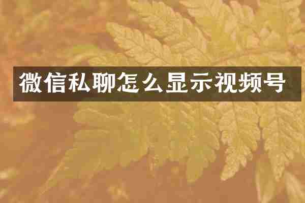 微信私聊怎么显示视频号