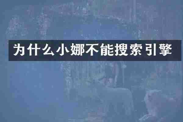 为什么小娜不能搜索引擎