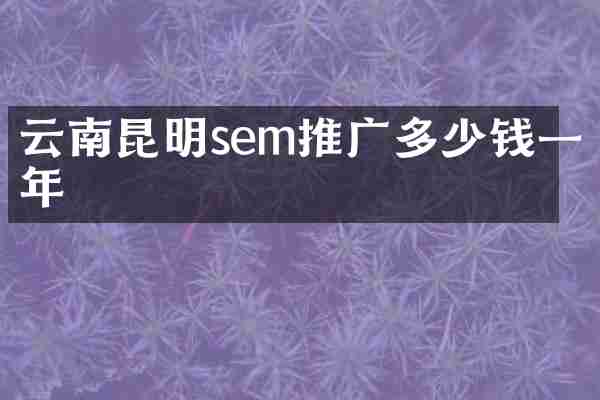 云南昆明sem推广多少钱一年