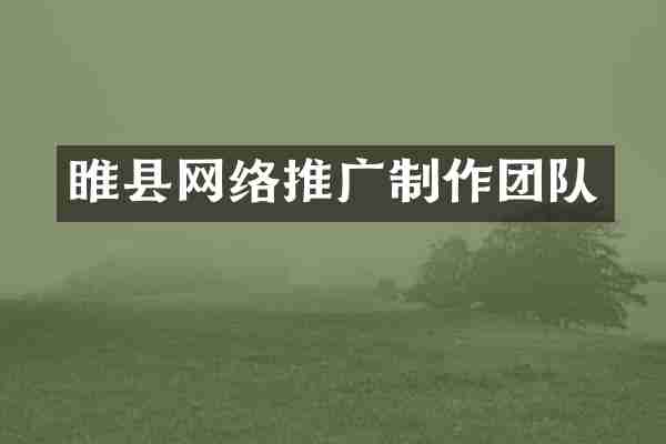 睢县网络推广制作团队