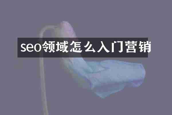 seo领域怎么入门营销