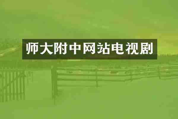 师大附中网站电视剧