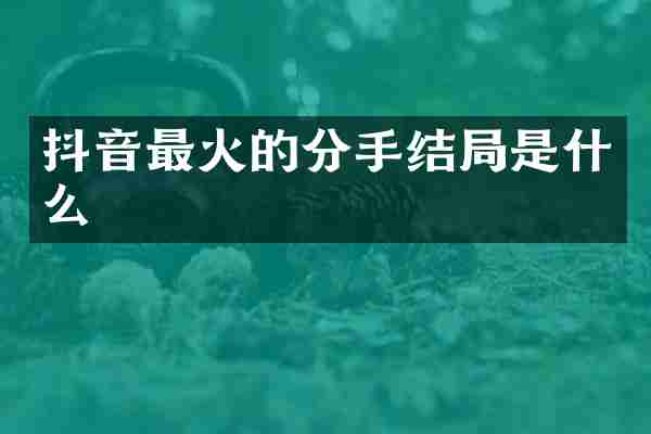抖音最火的分手结局是什么