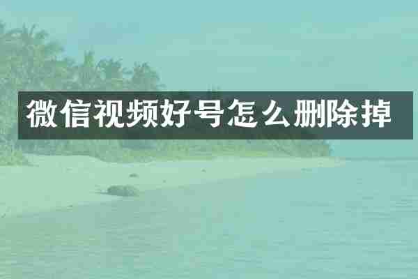 微信视频好号怎么删除掉