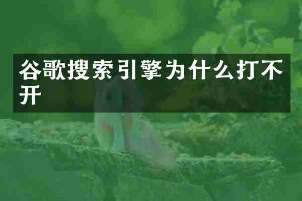 谷歌搜索引擎为什么打不开