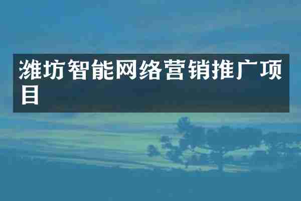 潍坊智能网络营销推广项目
