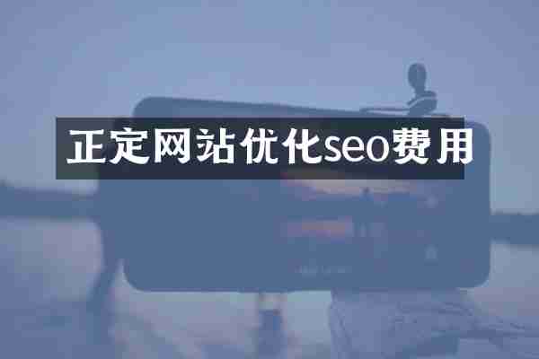 正定网站优化seo费用