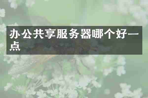 办公共享服务器哪个好一点