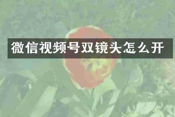微信视频号双镜头怎么开