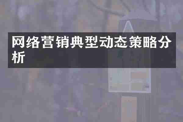 网络营销典型动态策略分析