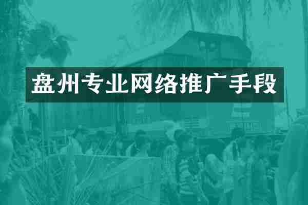 盘州专业网络推广手段