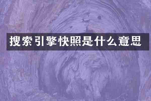 搜索引擎快照是什么意思