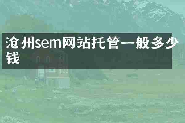 沧州sem网站托管一般多少钱
