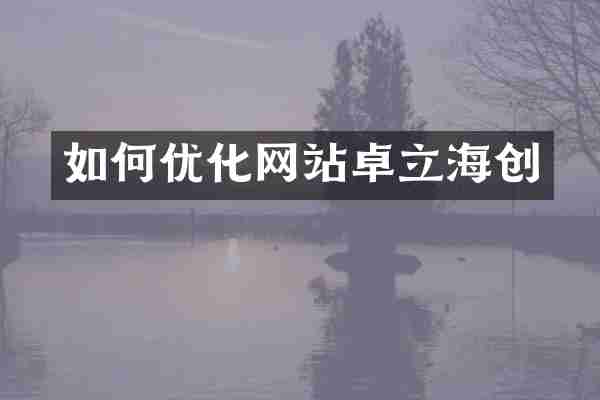 如何优化网站卓立海创