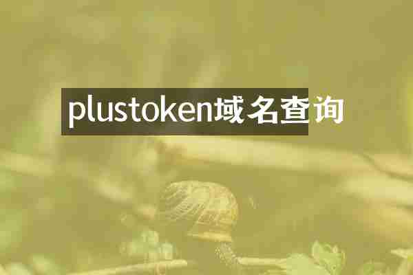 plustoken域名查询